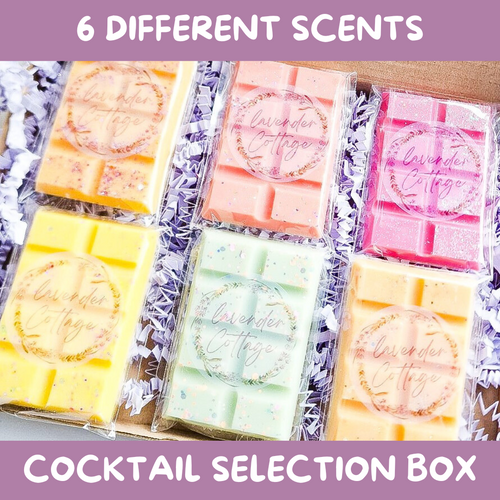 COCKTAIL INSPIRED WAX MELT SELECTION BOX
