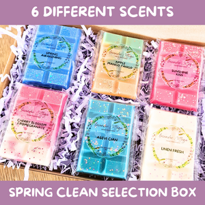 SPRING CLEAN WAX MELT SELECTION BOX
